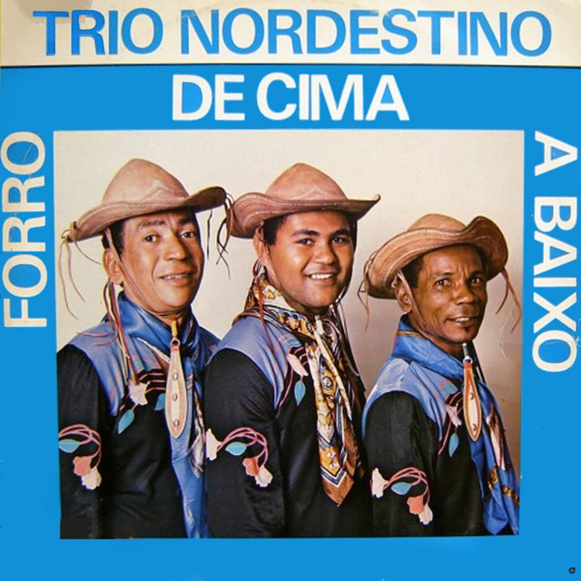 Forro de Cima a Baixo