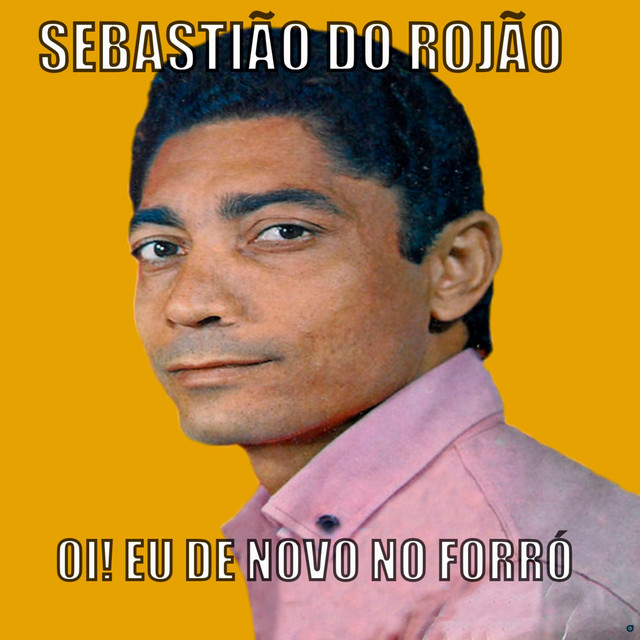 Oi! Eu de Novo no Forró