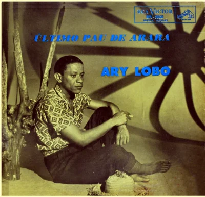 Ary Lobo