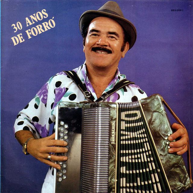 30 Anos de Forró