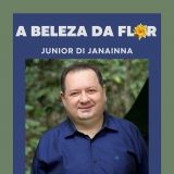 A Beleza da Flor