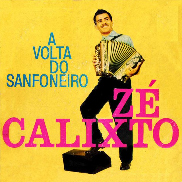 A volta do Sanfoneiro
