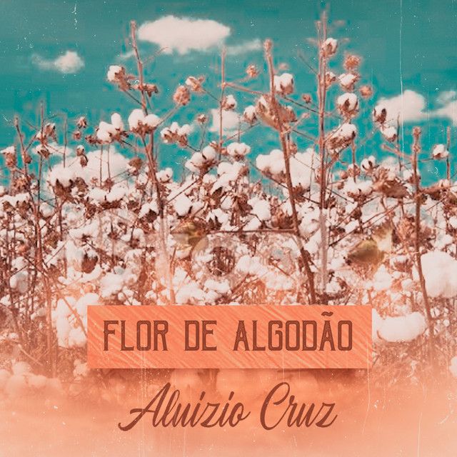 Flor de Algodão