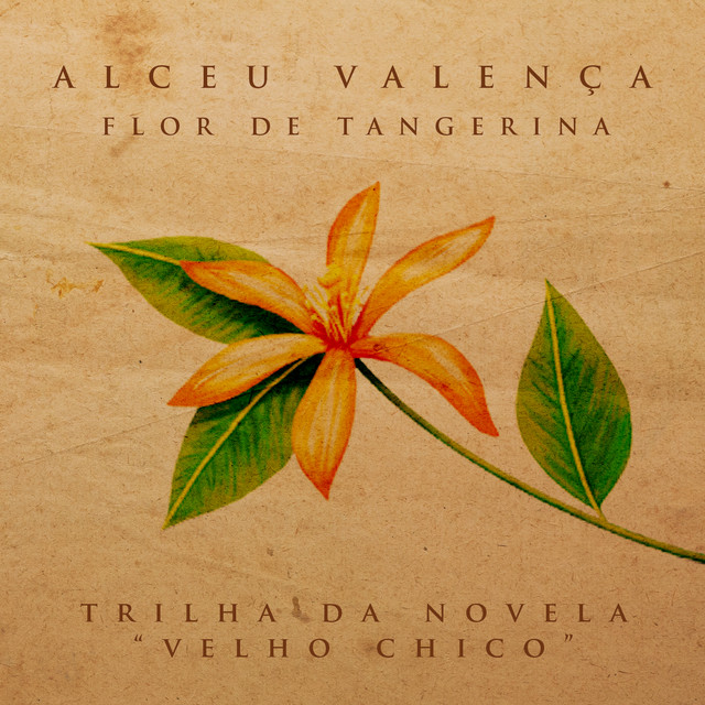 Flor de Tangerina - Single