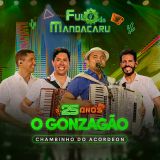 O Gonzagão - 25 Anos - Ao Vivo em Cruz das Almas/BA