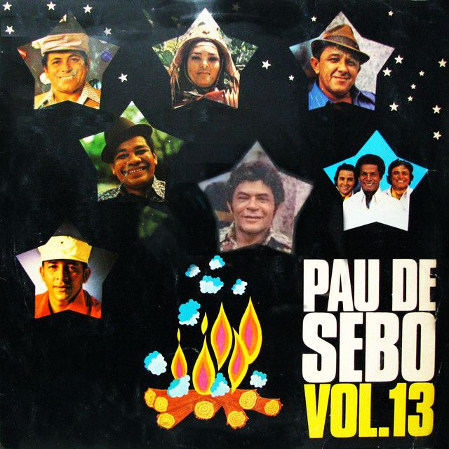 Pau de Sebo, Vol. 13