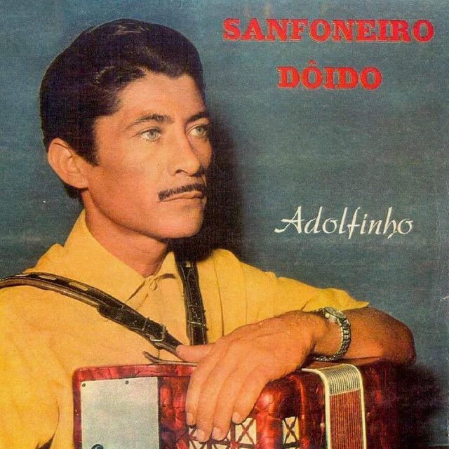 Sanfoneiro Doido