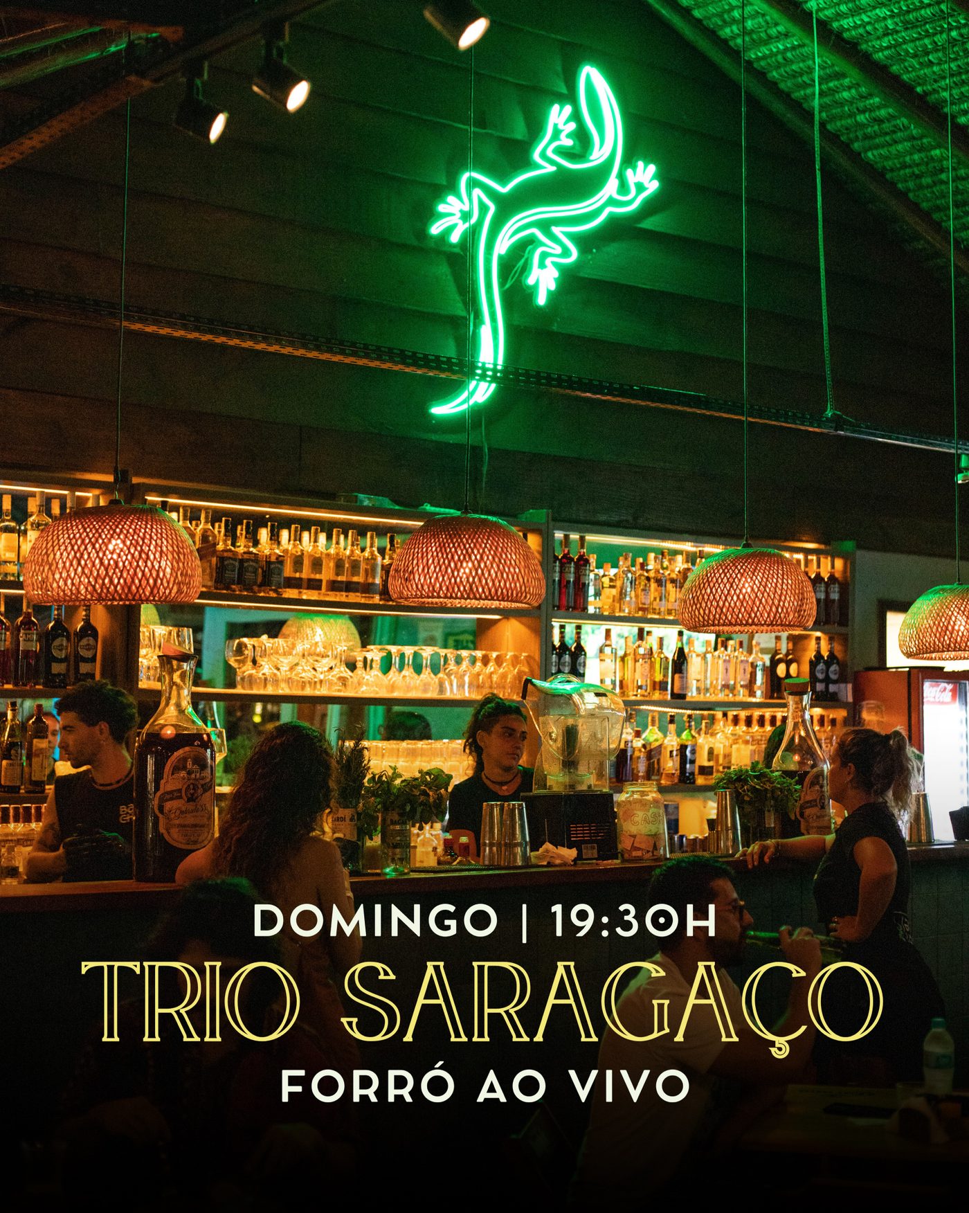 Flyer: Trio Saragaço