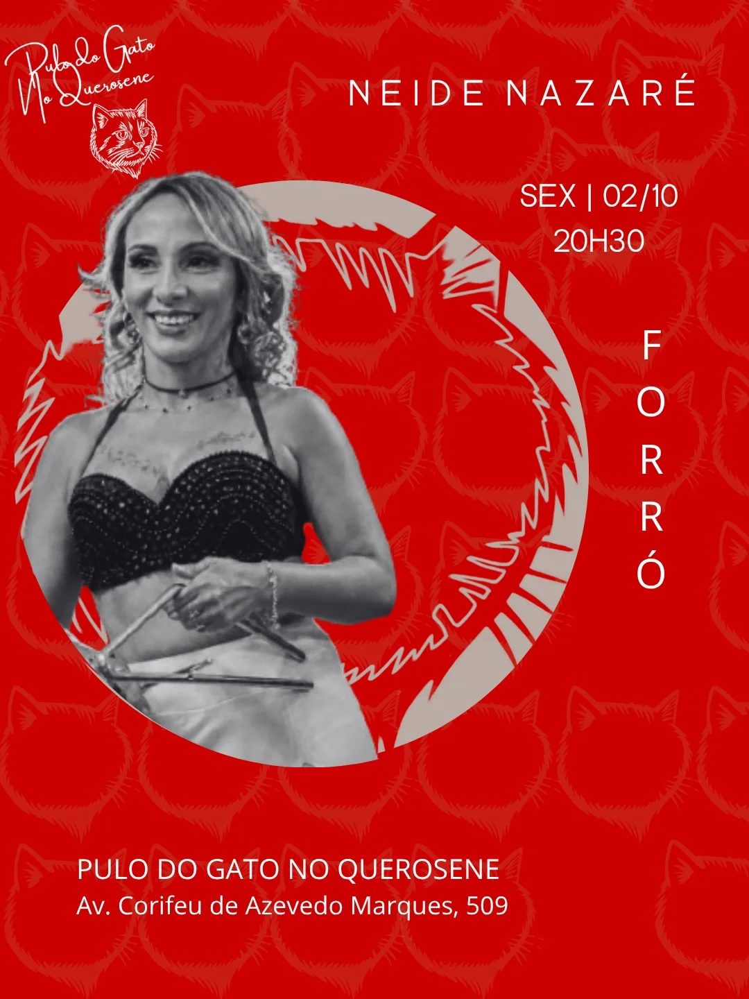 Flyer: Forró do Gato