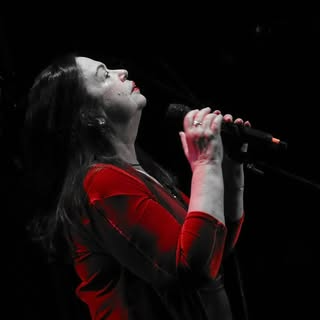 Amelinha — músico de forró